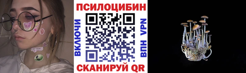 Псилоцибиновые грибы прущие грибы  Пестово 