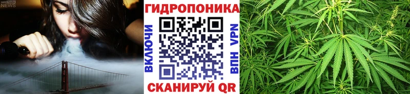 Бошки марихуана марихуана  закладки  Пестово 
